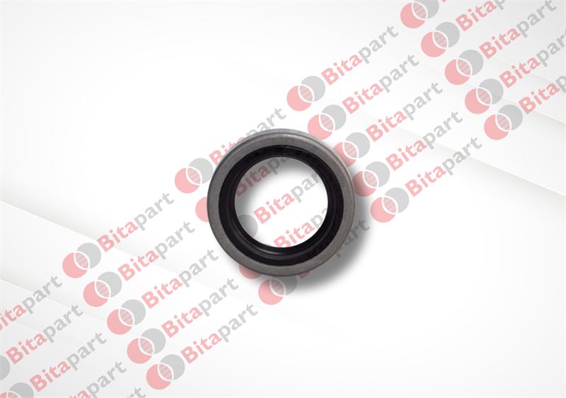 Bitapart Arka Aks Keçesi (Kus Serisi M124, M131)