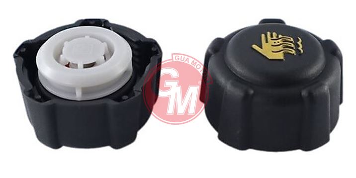 GENLESME KAVANOZ KAPAGI  KANGOO CLIO III IV MEGANE II III FLUENCE MASTER II TRAFIC LATITUDE LOGAN SANDERO 