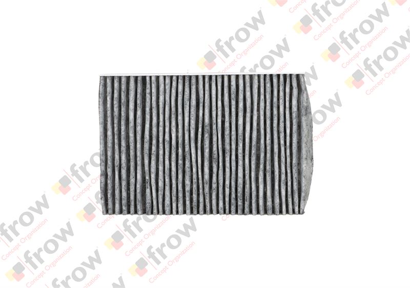 FROW Karbonlu Polen Filtresi Peugeot P508