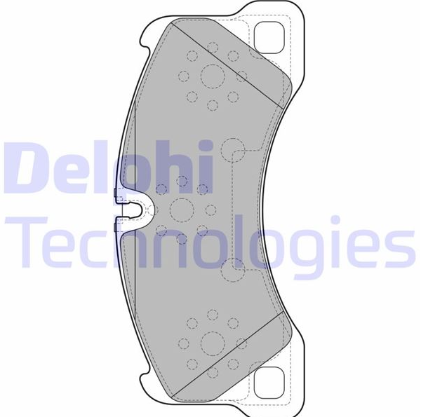 Delphi Ön Balata (209 mm) (TOUAREG, CAYENNE, PANAMERA 07-)
