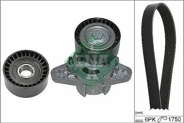 INA Renault Laguna 1.6 ve Megane 1.6 Alternatör Rulmanı