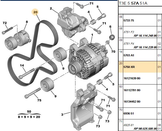 Bosch V Kayışı (6 PK 1705) Peugeot Ford 14 16 HDI