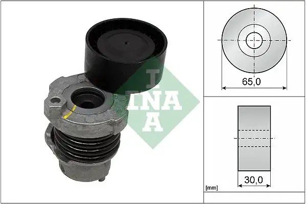 INA Renault Captur ve Nissan Juke 1.2 Alternatör Gergi Kutu Rulmanı 65 mm Çap, 30 mm Genişlik