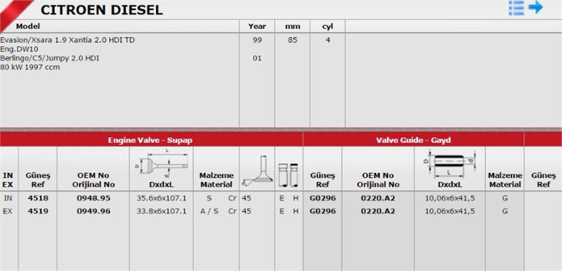 Günes Takım Gayd (8V) Peugeot Partner 307 406 Expert Citroen Berlingo Scudo 20 DW10