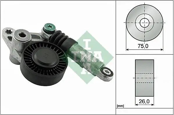 INA Audi A4-A5-A6-Q7 2.7 Tdi-3.0 Tdi Alternatör Gergi Kütüğü