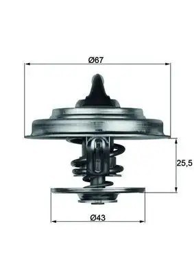 MAHLE Mercedes E320, 190E Termostat 79 °C