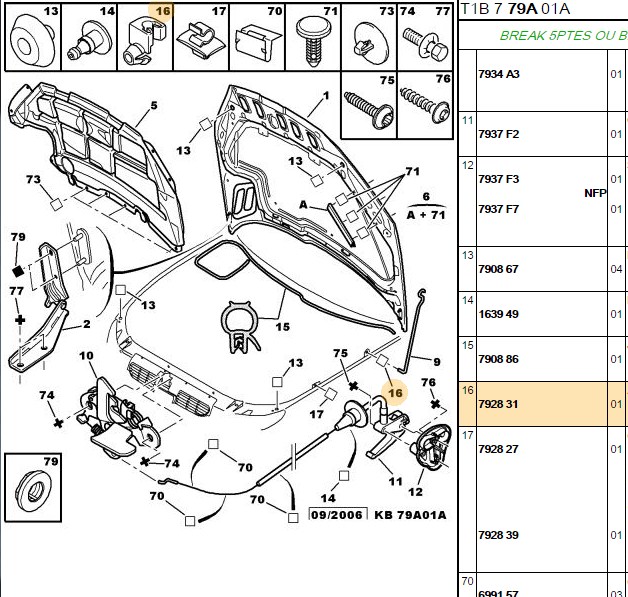Motor Kaput Demiri Agraflı (Peugeot 207, 307, 807)