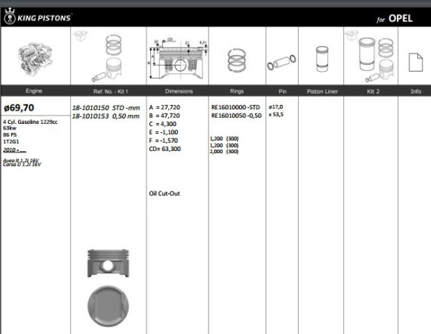 Piston 69.70 mm (Standart) (Chevrolet Aveo II, Opel Corsa D)