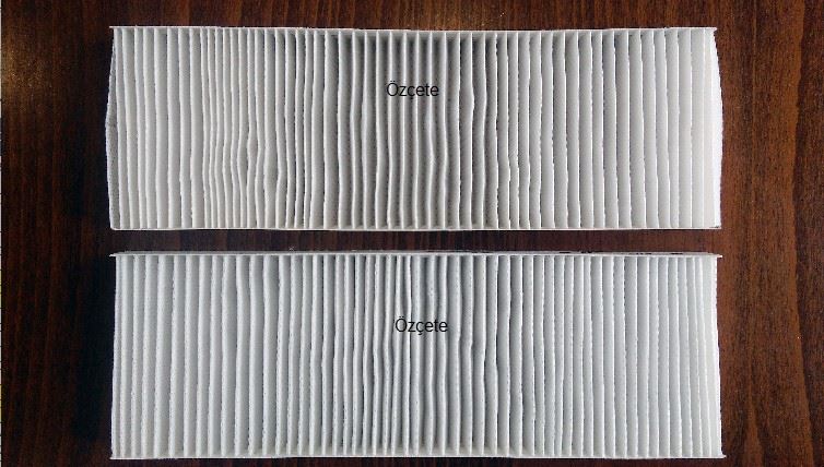 POLEN FILITRESI  P301 C-ELYSEE