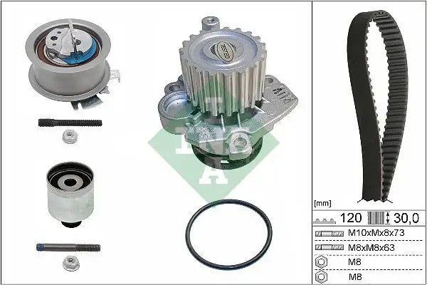 INA Volkswagen Caddy, Seat Cordoba ve Skoda Fabia 1.9 Tdi Triger Seti + Su Pompası