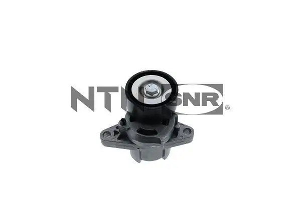 SNR Renault Laguna, Megane ve Clio 1.4/1.6 Alternatör Gergi Rulmanı 60 mm