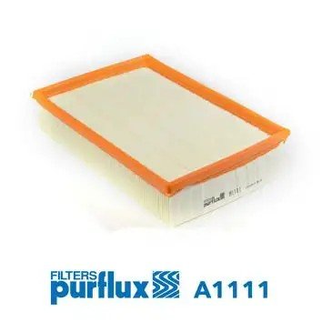 PURFLUX Peugeot 307 1.4 ve 1.6 Hava Filtresi 246×169×50 mm