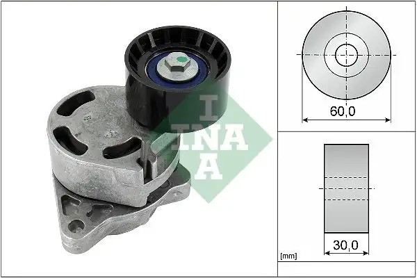 INA Alternatör Gergi Rulmanı 2.5 DCI 06-