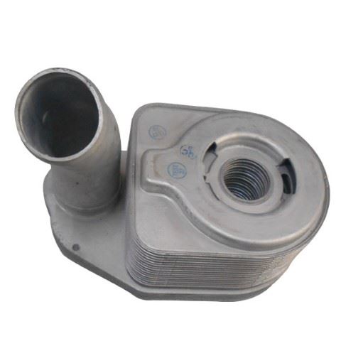 Motor Soğutucu DCT 1.3 (Brücke)