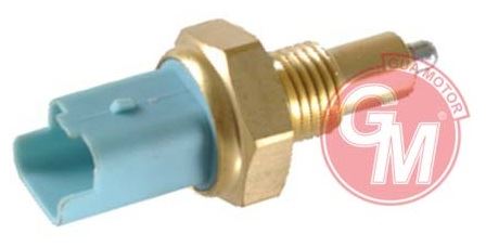 GERI VITES MUSURU RENAULT CLIO 3 KANGOO 15 DCI LAGUNA 2 18 20 MASTER 10- 2 FISLI