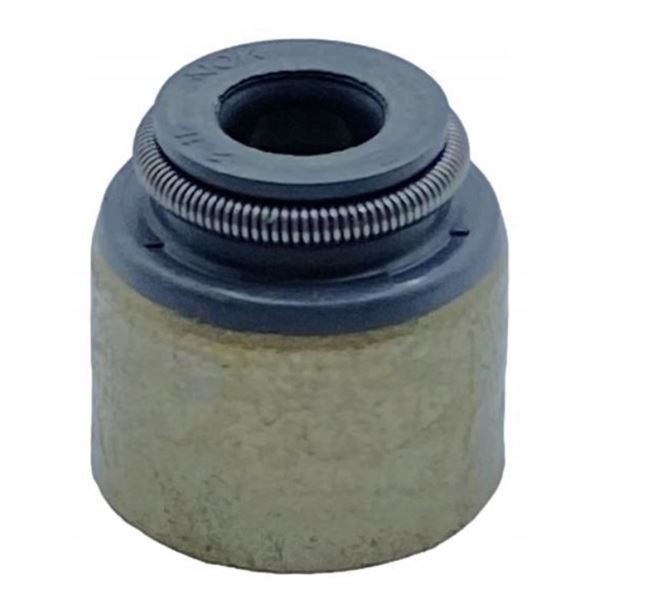 Bitapart Supap Lastığı Takımı (Renault Arkana, Captur, Fluence, Mégane III, IV, Scénic III, Dacia Doker, Duster, Lodgy, Lada Xray, Vesta, Nissan Cube, Juke, Micra, Note, Qashqai, BMW 3, 5)