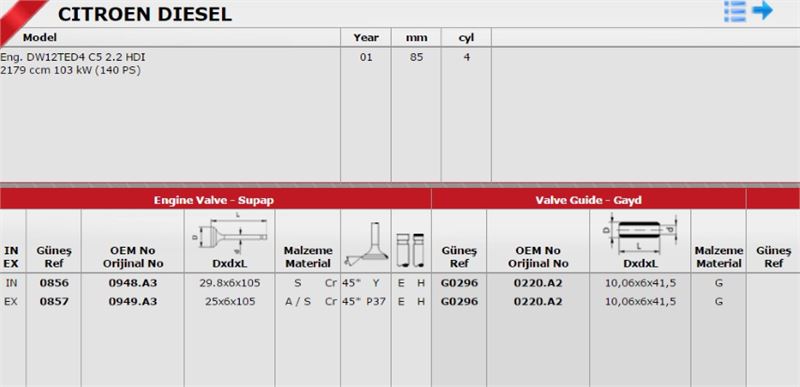 Gunes Takım Subap (16V) (Fiat Scudo, Peugeot Partner, 20 JTD)