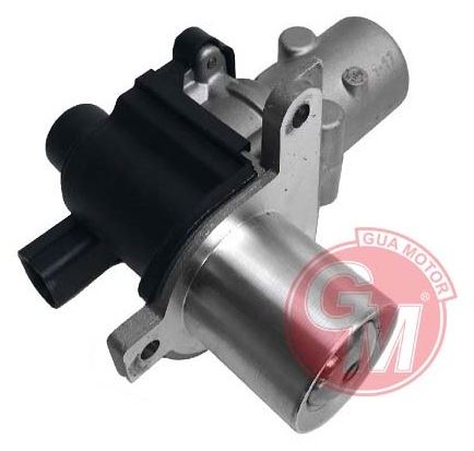 EGR Valfi (Nissan Note, Qashqai, Dacia Sandero, Duster, Megane II III, Clio II III, Kangoo, Fluence)