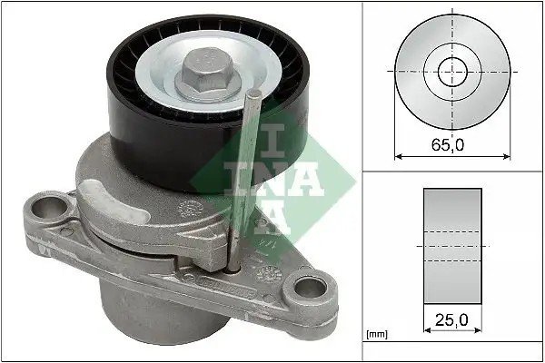 INA Peugeot 207 1.4 ve 307 1.4 Triger Gergi Rulmanı 65 mm