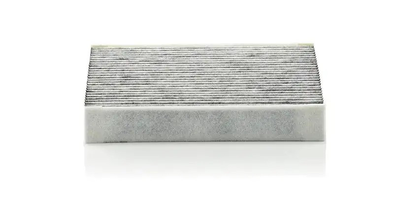 MANN Jaguar XF 22D XJ 20TI4 Karbonlu Polen Filtresi 197×192×30 mm