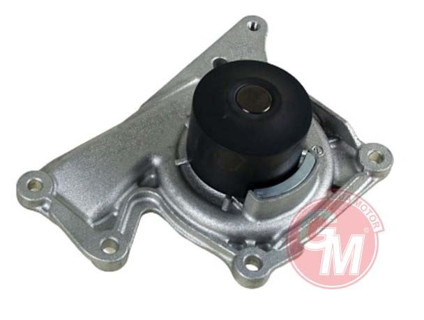 GUA Renault Kangoo, Laguna, Megane Master Devirdaim Su Pompa