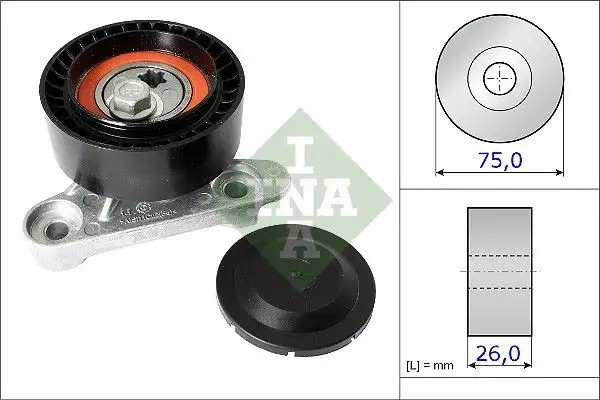INA Seat Ibiza ve Volkswagen Polo 5 Alternatör Gergi Rulmanı 531087110