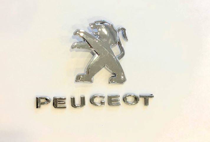 Bitapart Arka Peugeot Yazısı ve Ambalması 301