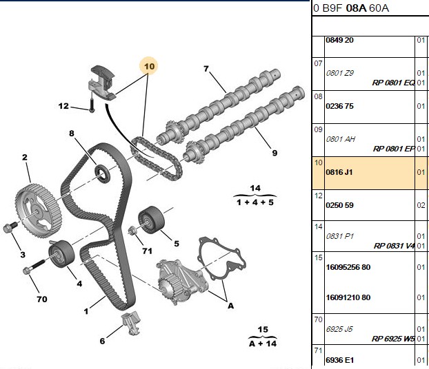 BITAPART Peugeot 308 ve Volvo S40 Eksantrik Zincir Seti (Gergi+Zincir) 1.6 Hdi DV6TED4