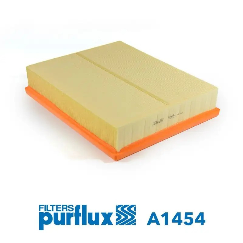 PURFLUX Ssangyong Actyon, Kyron ve Rodius Hava Filtresi 301 mm