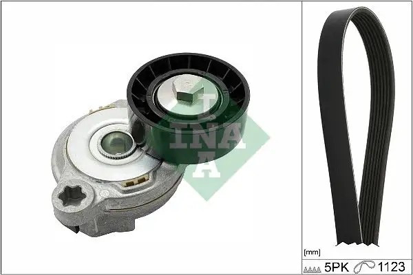 INA Volvo S80, S60, XC60, XC70 V Kayışı 30757514