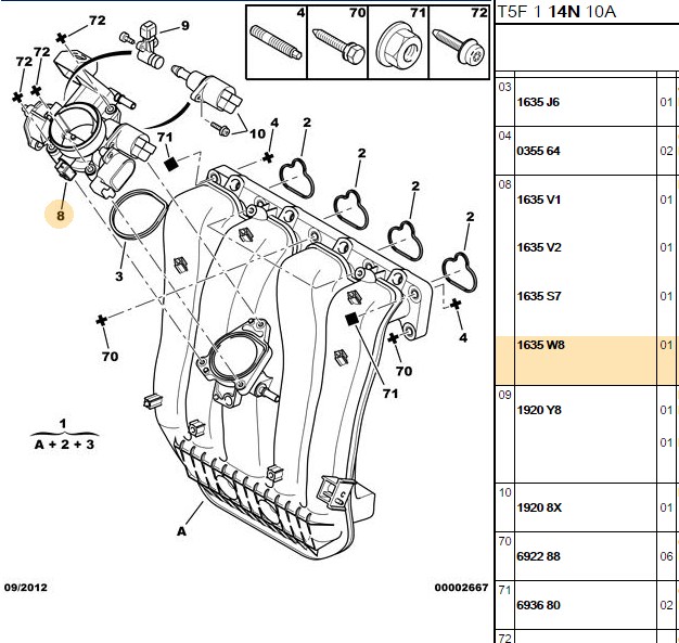 Gaz Kelebek Kutusu (Peugeot 206, 307, 407, 607, 807, Citroen C4, C5, C8, XSARA EW7, EW10)